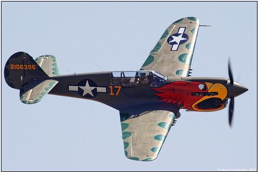 P-40 w1.JPG