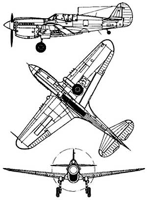 P40.jpg